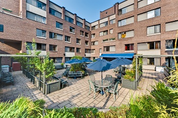 A courtyard with tables and chairs, umbrellas and plants.